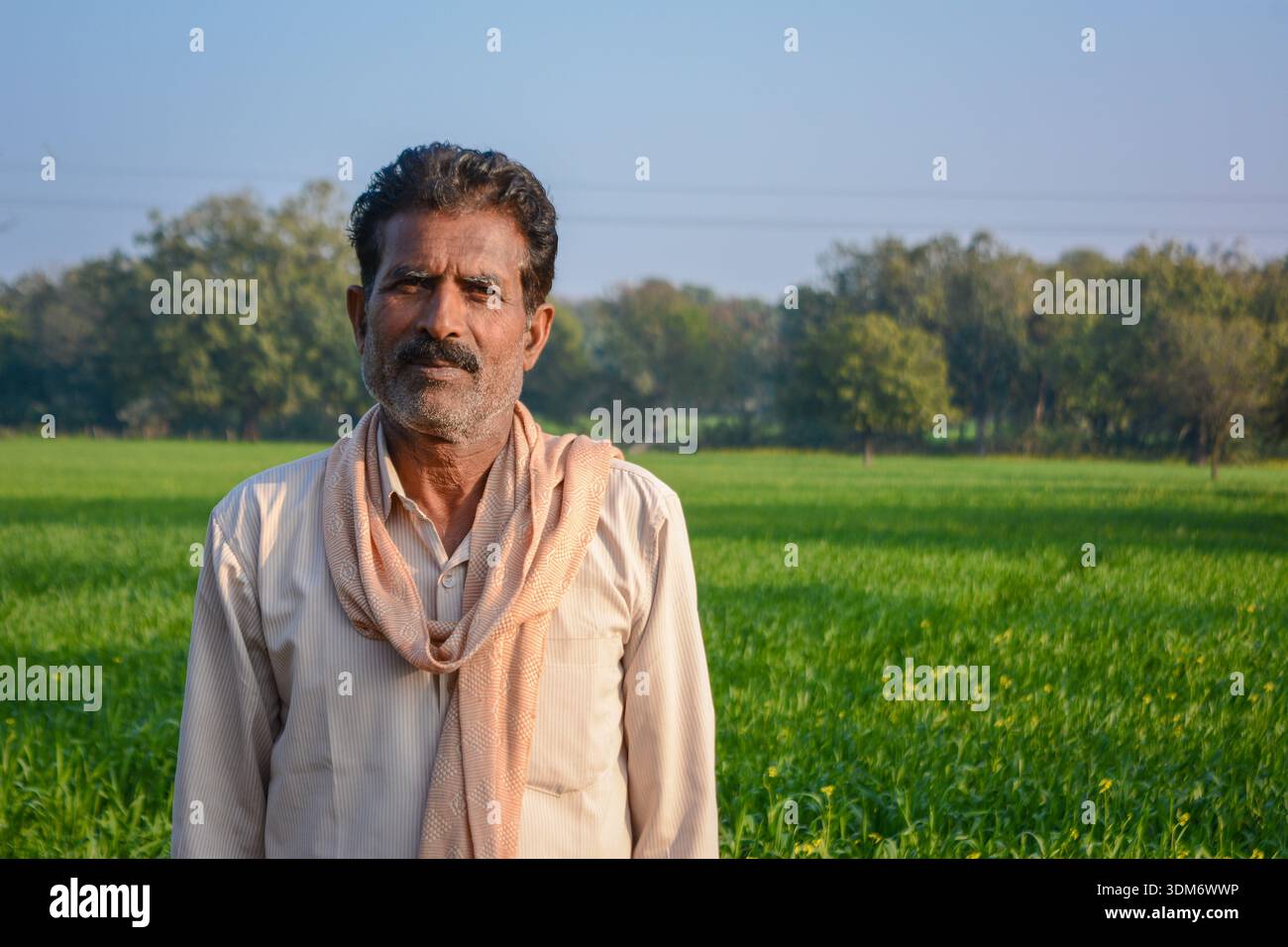 Indian farmer standing in green crop field looking at camera Stock Photo