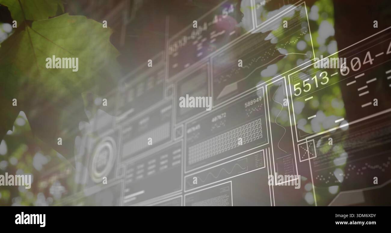 Displaying semi-transparent wireframe interface hovering over canopy, leaf left, showing 5513-604- Stock Photo