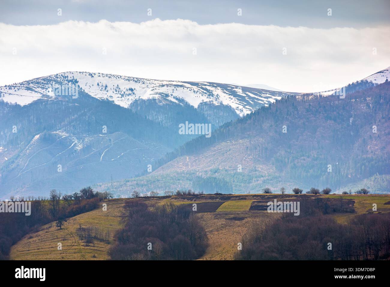 carpathian mountains of ukraine in early spring. morning view of countryside landscape with rolling hills, snow covered peak. green environment sustai Stock Photo