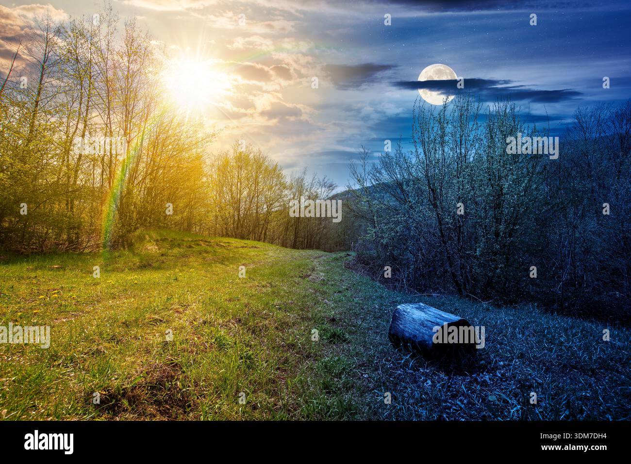 mountain landscape with green grass on forest glade in spring. day and night time change concept. beautiful nature scenery with beech trees under sky Stock Photo