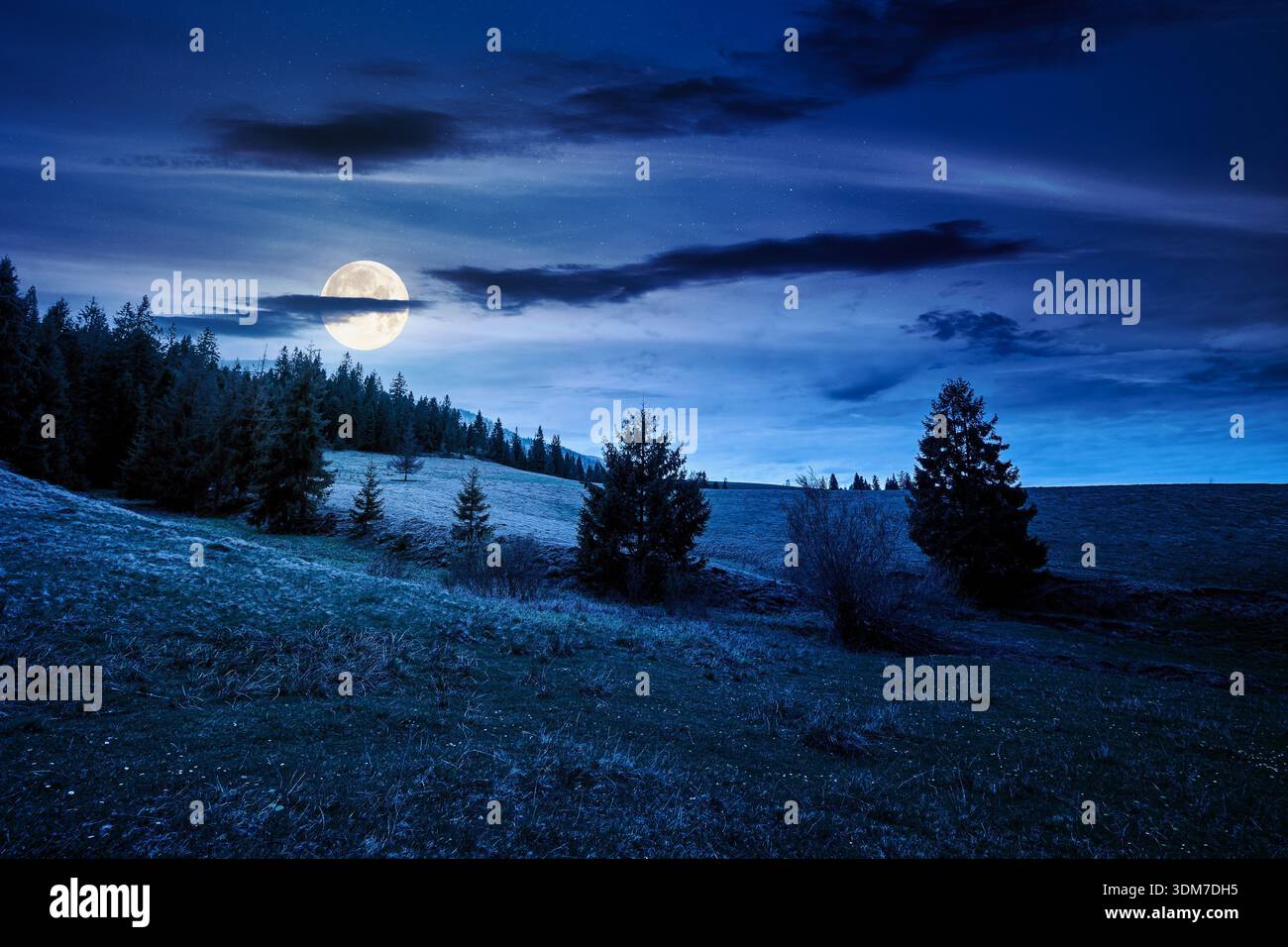 rolling hill with green field under cloudy sky in spring at night. scenic view countryside landscape mountains in full moon light. background for fake Stock Photo