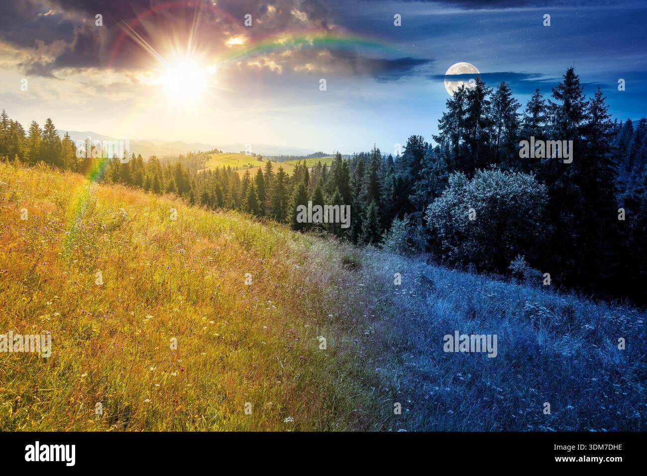 coniferous forest on the steep hillside meadow in summer. day and night time change concept. mountain landscape with sun and moon. epic nature scenery Stock Photo