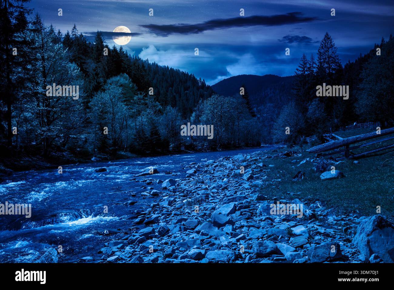 mountain river among the evergreen forest in spring at night. trees, grass, wooden fence and stones on the shore in full moon light. mysterious nature Stock Photo
