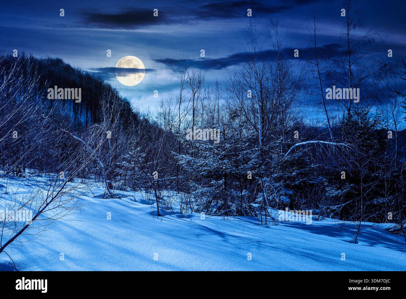 winter landscape at night. deciduous forest on snow covered hill in full moon light. beautiful scenery of park under blue sky for travel background. b Stock Photo