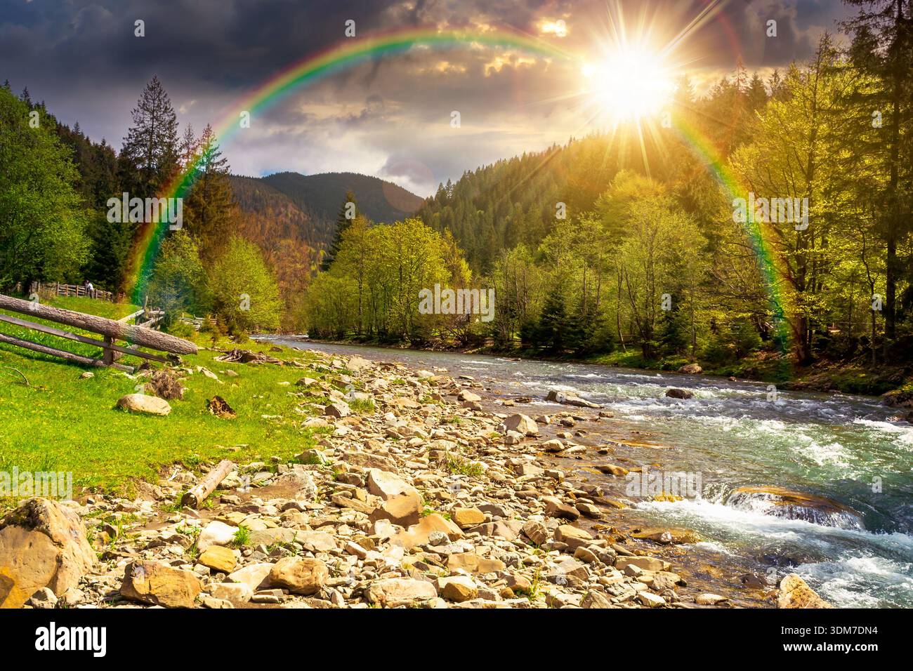 mountain river among the evergreen forest in spring at sunset. trees, grass, wooden fence and stones on the shore in evening light. beautiful nature l Stock Photo