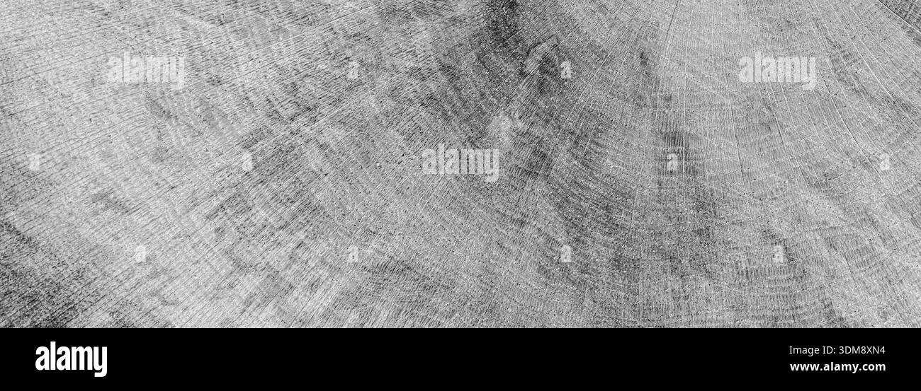 Timber board cross section Black and White Stock Photos & Images - Alamy