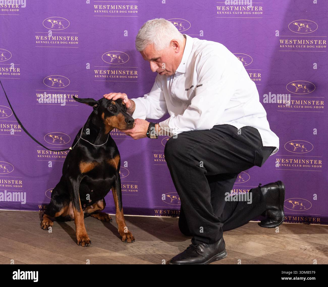 Chef Ralph Scamardella greets Penny the Doberman Pinscher at ...