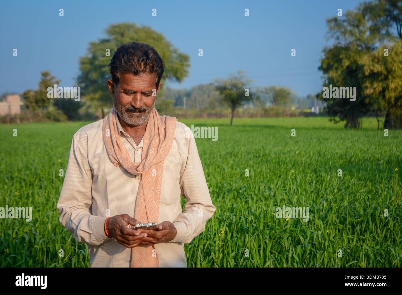 Indian farmer using mobile phone while standing in green crop field Stock Photo