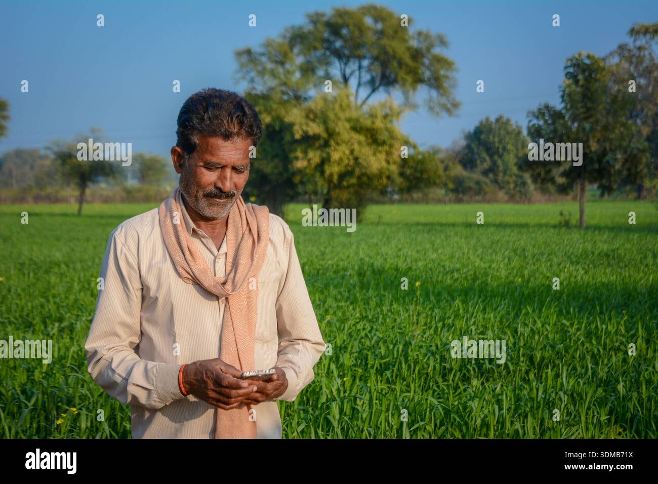 Indian farmer using mobile phone while standing in green crop field Stock Photo