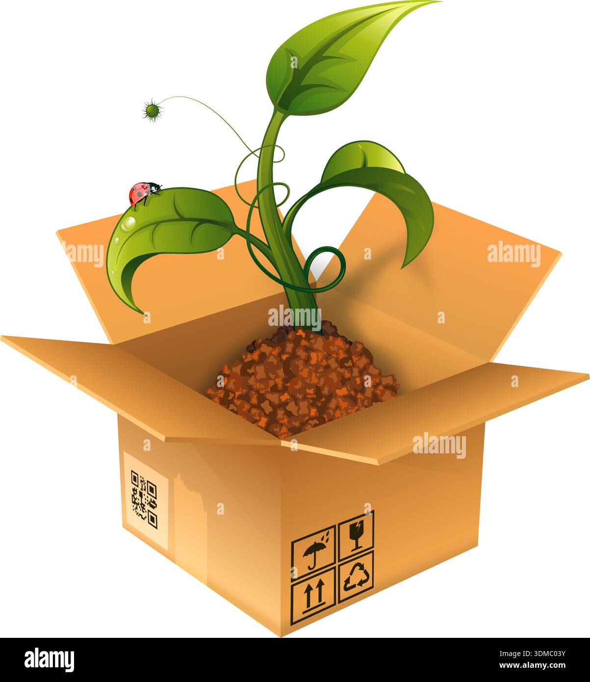 Open Cardboard Box with the Sprout and Ladybug, vector illustration Stock Vector