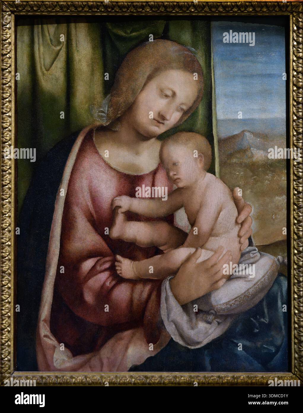 Madonna and Child by Altobello Melone, Pinacoteca Ambrosiana, Milan ...