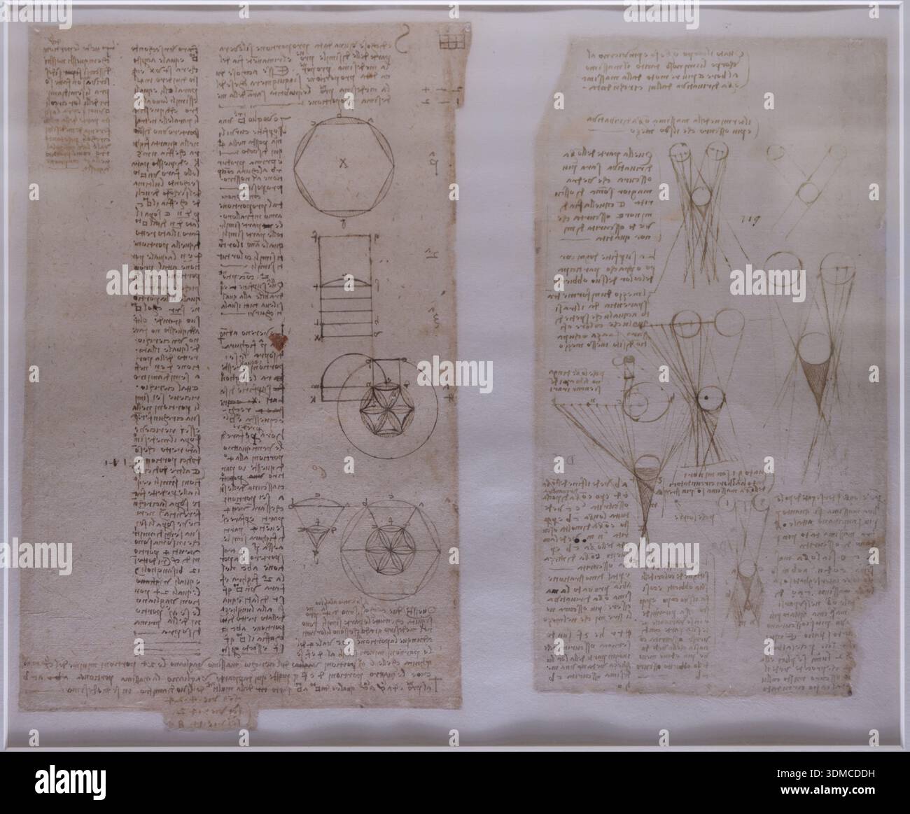Atlantic Codex Leonardo da vinci anatomy hi-res stock photography and images - Alamy