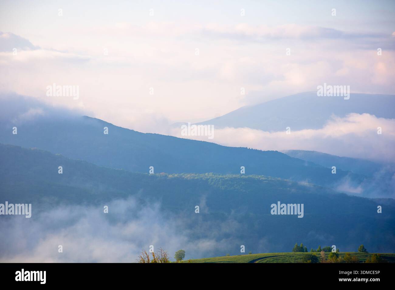 mountain landscape in fog. countryside spring scenery with cloudscape rolling above peaks. fantastic view in to the valley full of cold mist. perechyn Stock Photo