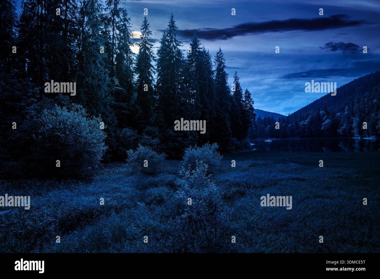 lake in summer mountain landscape at night. fresh body of water surrounded by coniferous forest in full moon light. spectacular scenery of alpine dest Stock Photo