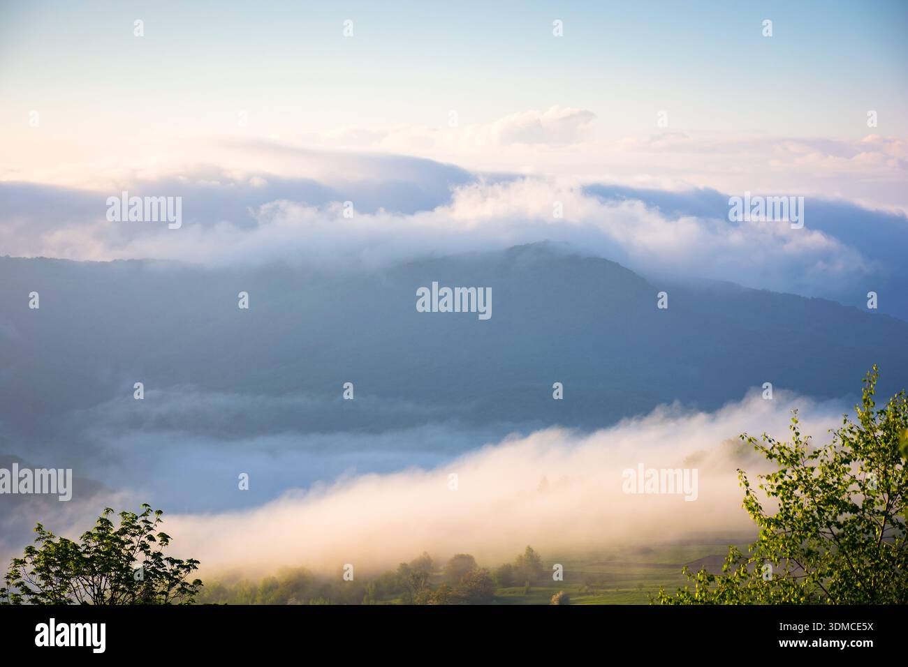 mountain landscape in fog. countryside spring scenery with cloudscape rolling above peaks. fantastic view in to the valley full of cold mist. perechyn Stock Photo