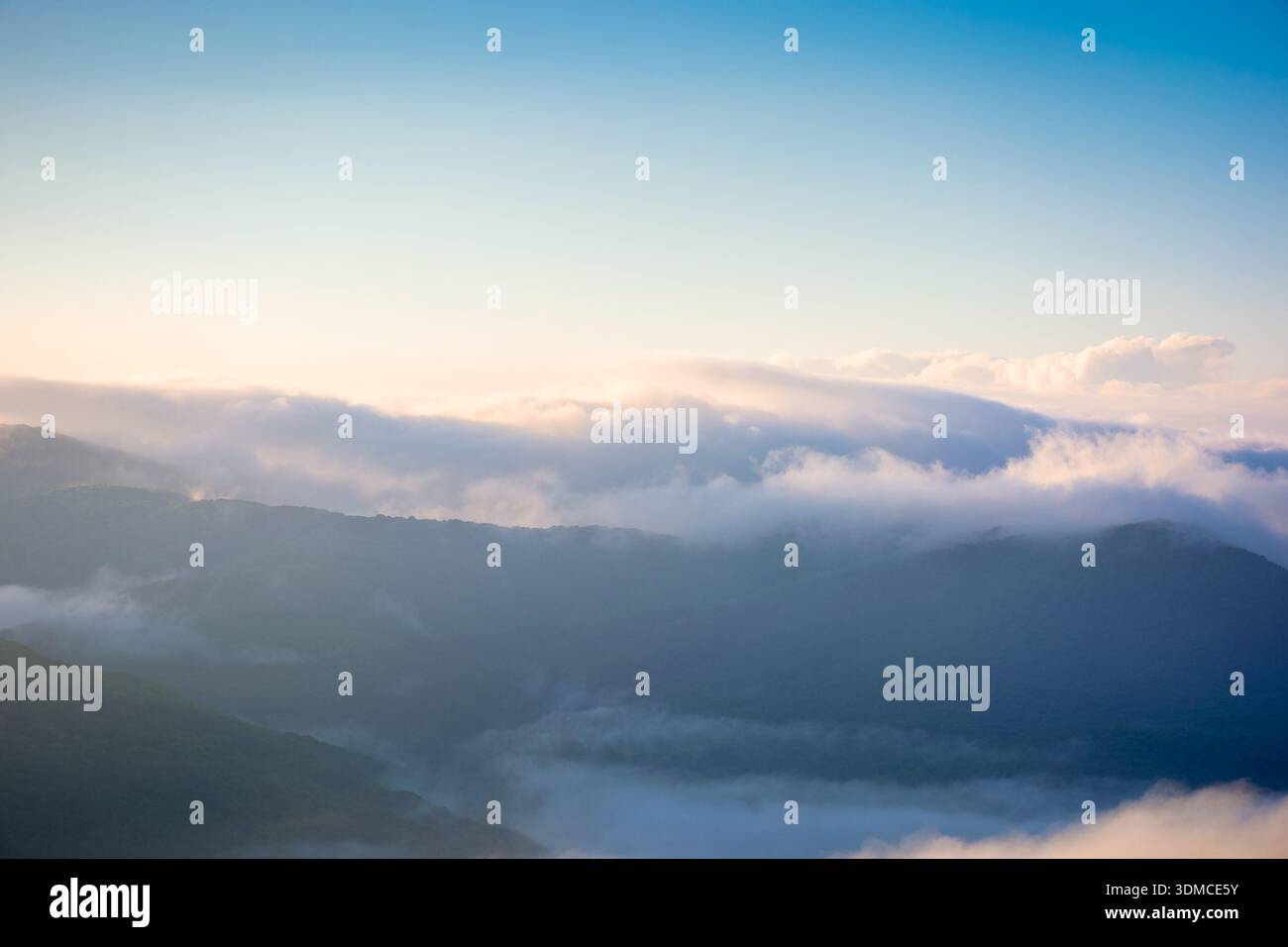 mountain landscape in fog. countryside spring scenery with cloudscape rolling above peaks. fantastic view in to the valley full of cold mist. perechyn Stock Photo