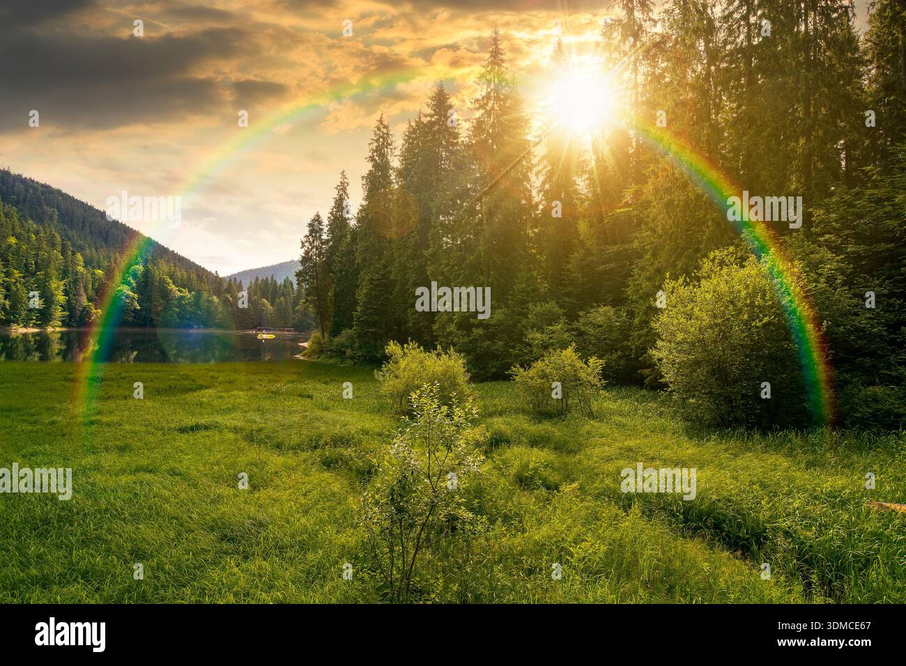 lake in summer mountain landscape at sunset. fresh body of water surrounded by coniferous forest in evening light. spectacular scenery of alpine desti Stock Photo