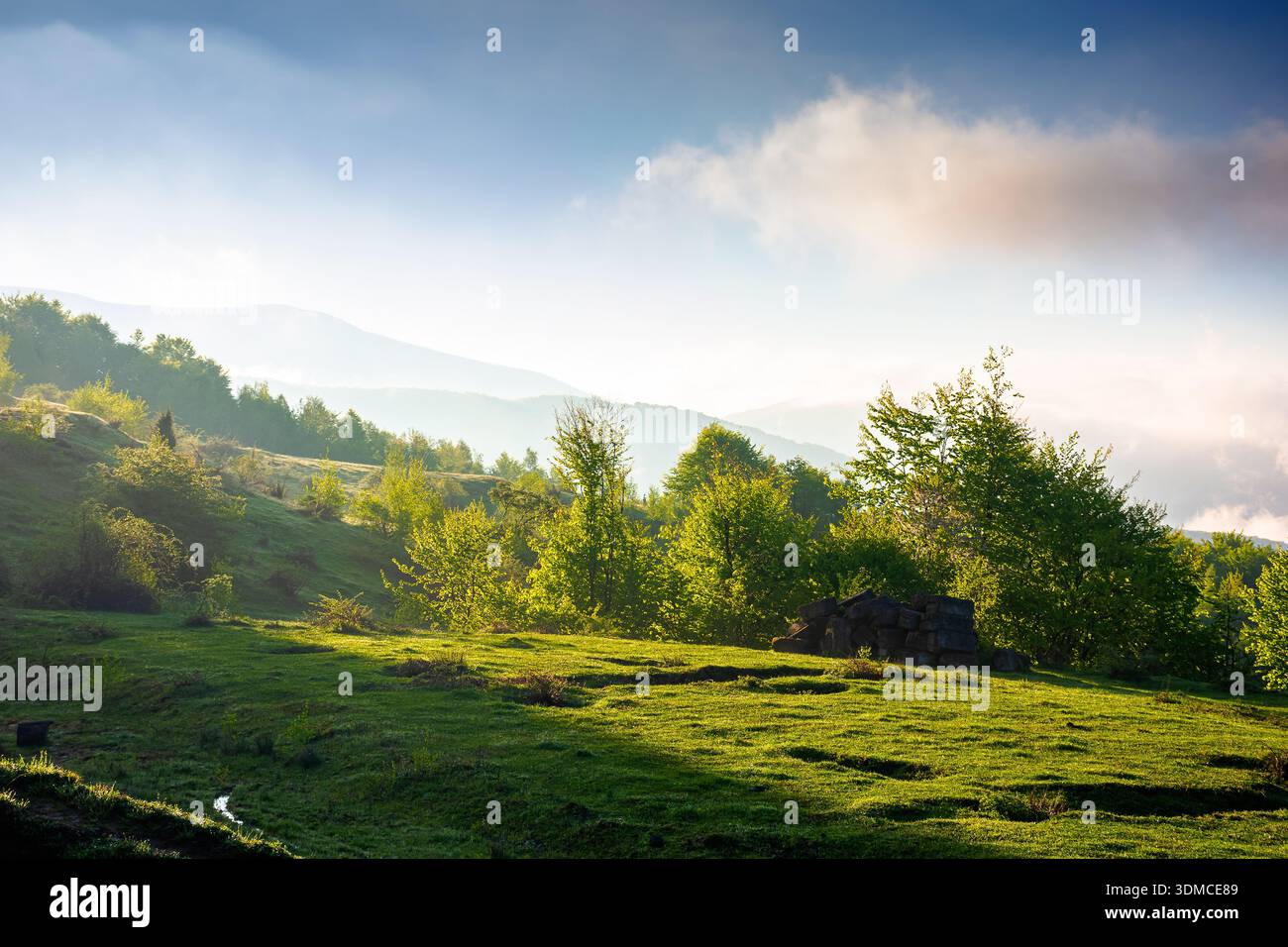 carpathian mountain landscape of ukraine in morning fog. lush green alpine meadows in spring. beautiful view in to the valley. blue sky with clouds on Stock Photo