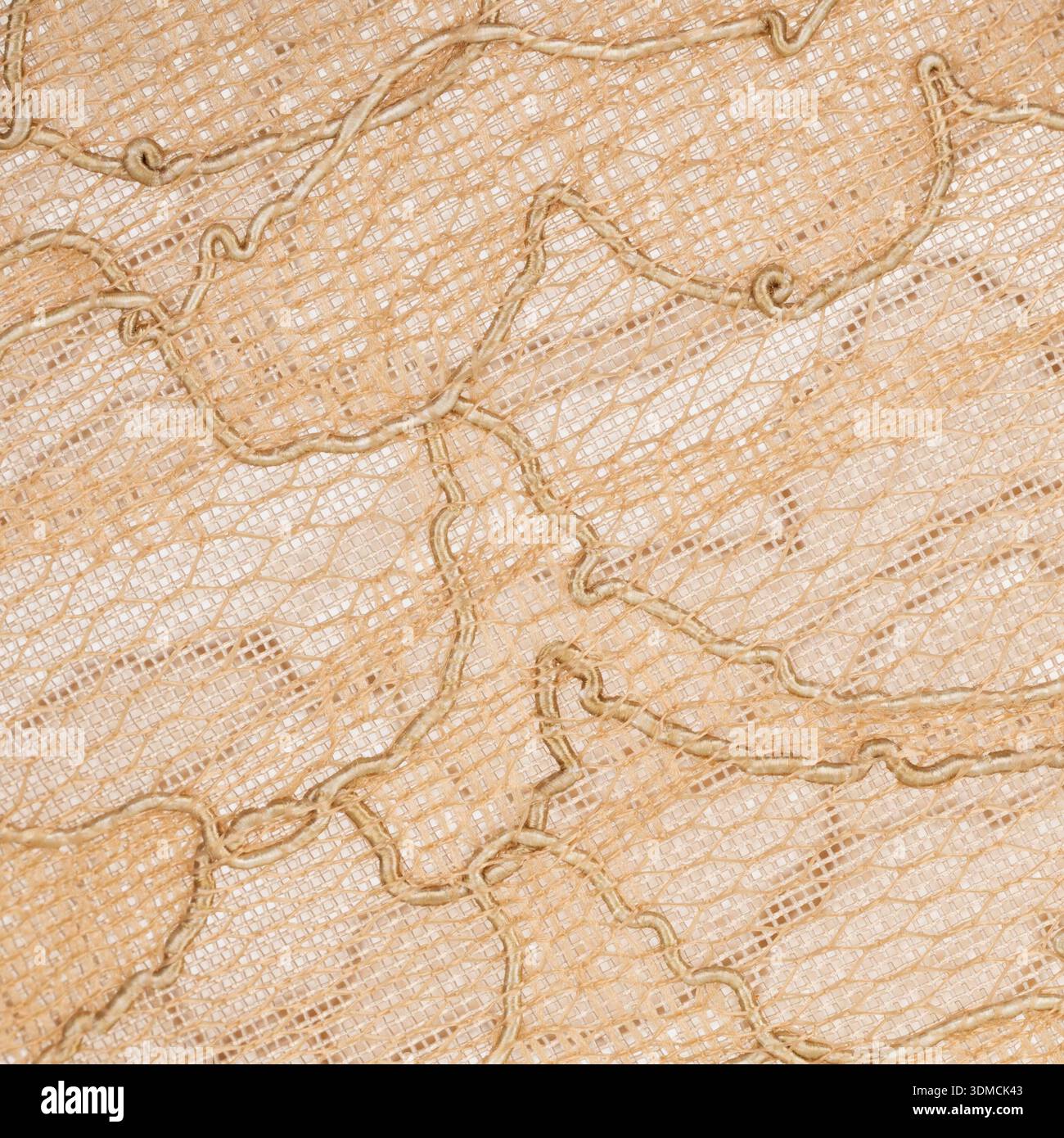 Elegant Beige Embroidered Mesh Fabric Texture Stock Photo