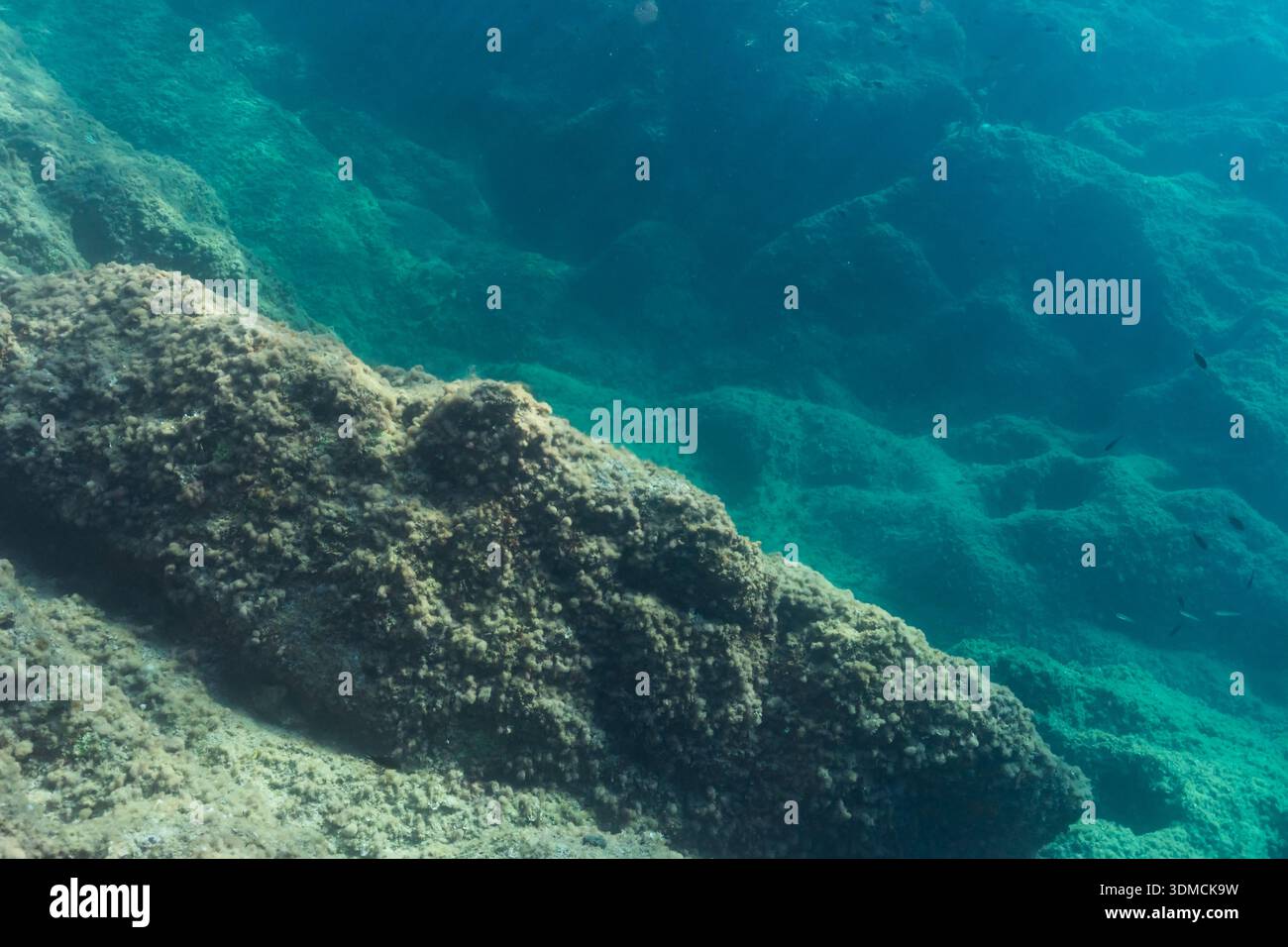 Underwater landscape of rocky sea bottom with clear turquoise water ...