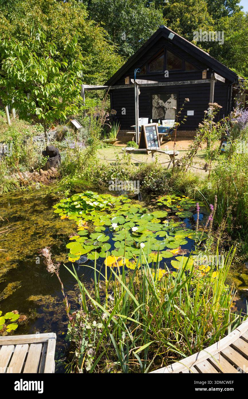 Nature Pond And Education Centre At RSPB Flatford Wildlife Garden nature-pond-and-education-centre-at-rspb-flatford-wildlife-garden