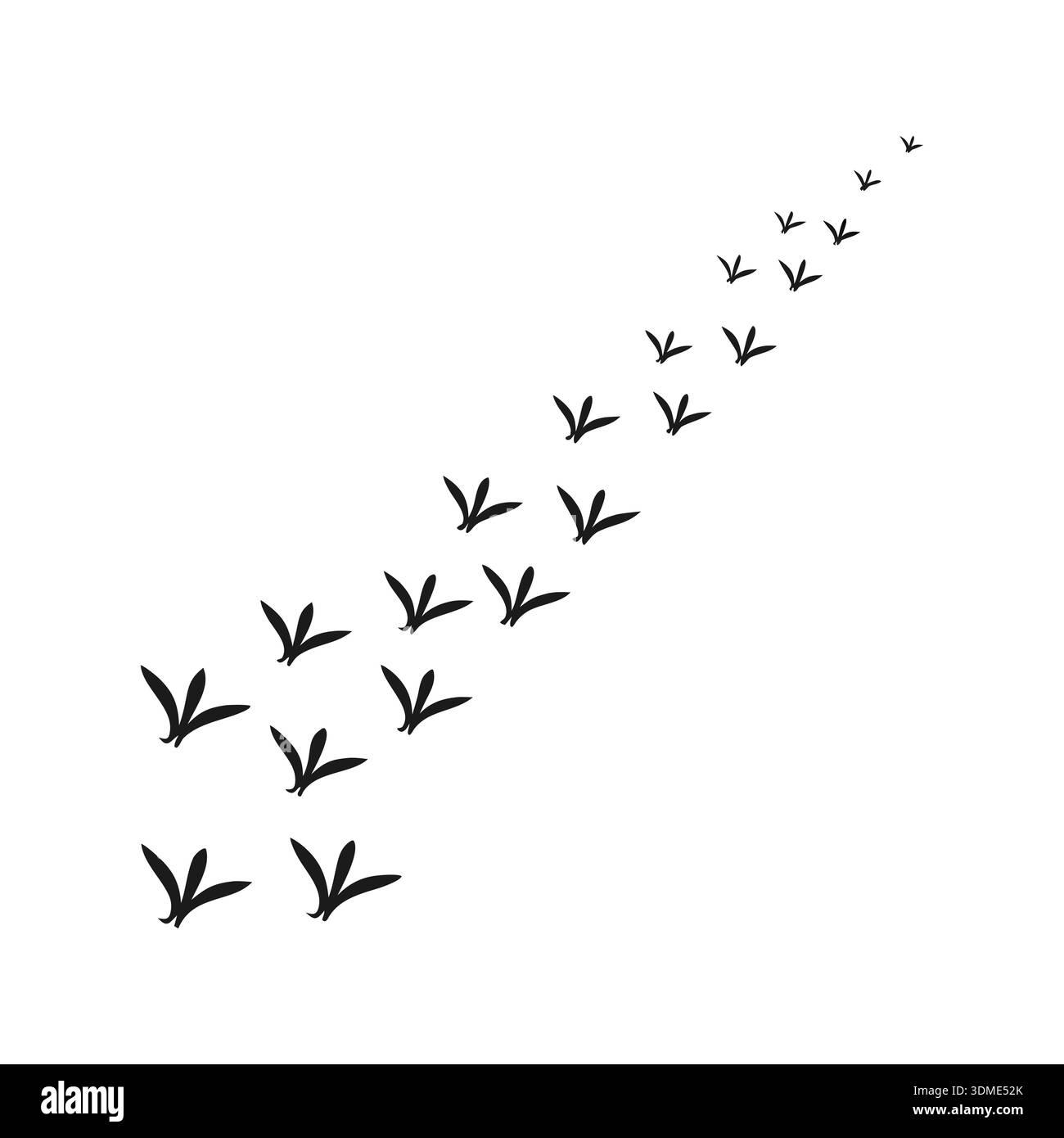 Bird Footprints Trail Silhouette Vector Stock Vector