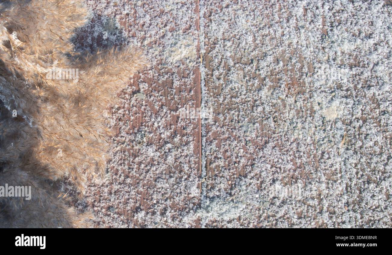 Frost covered concrete pavement texture with visible joints and rough surface Stock Photo