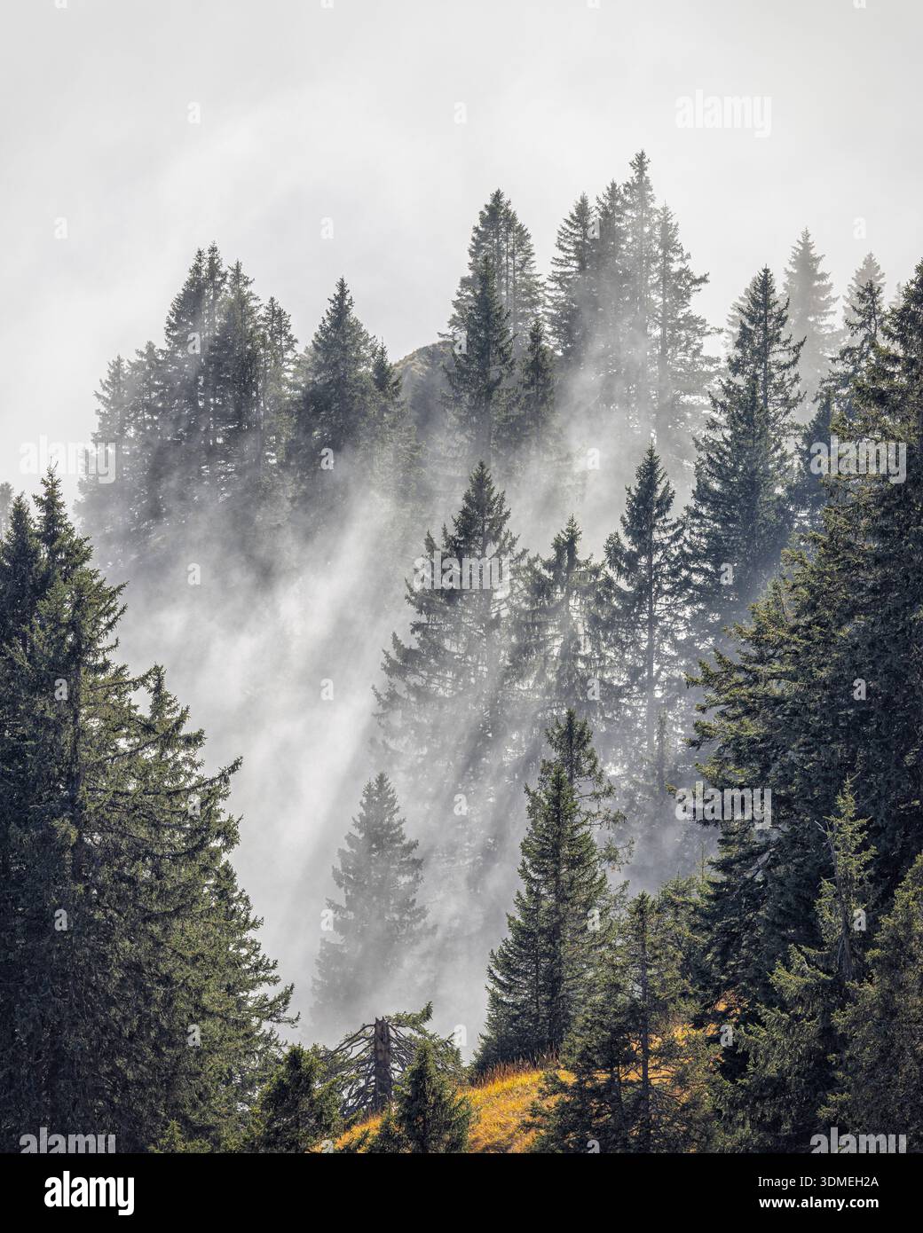 Clouds provide a view of the mountain forest. Schongau, Bavaria, Germany. Stock Photo