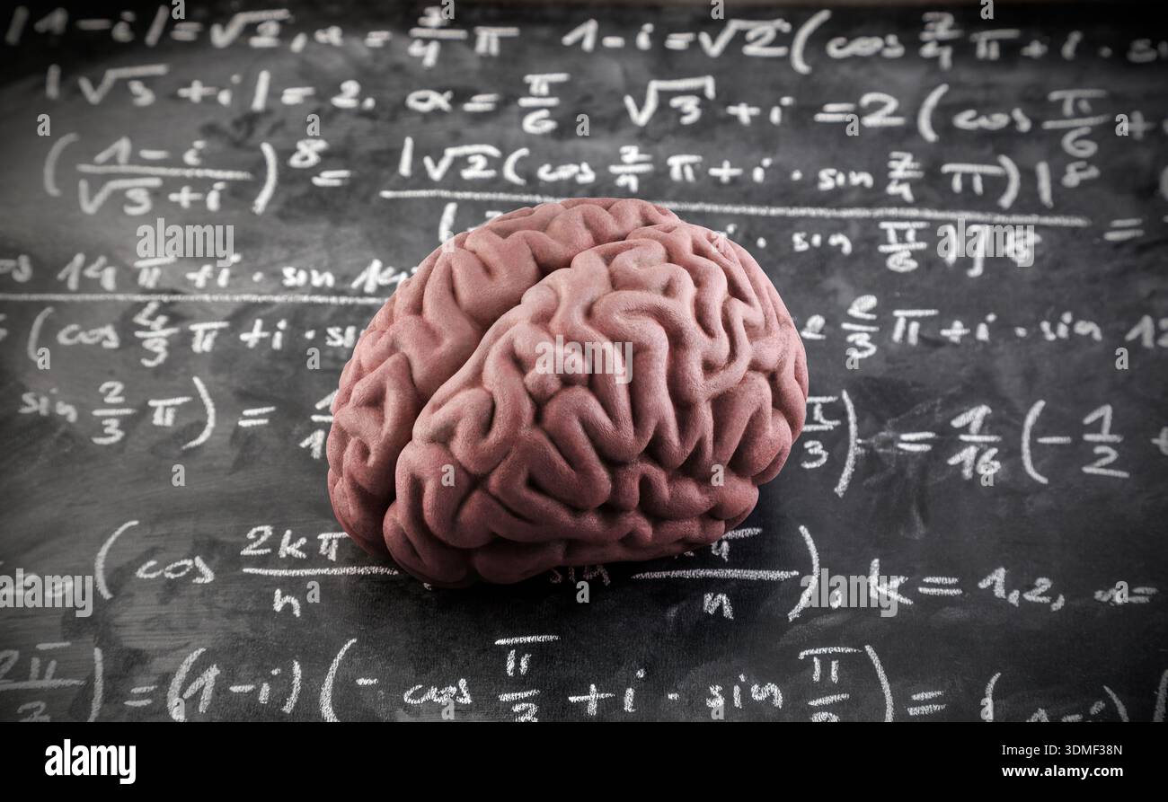 Human brain model with mathematical equations on scholl chalkboard. Science, education and learning concept. Stock Photo