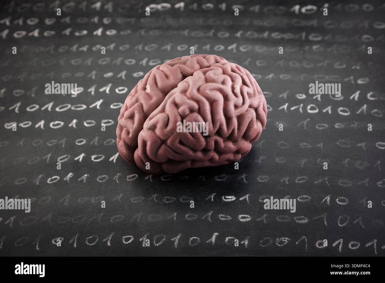 Human brain model and binary code drawn with chalk on worn scholl blackboard. Science, learning or data loss concept. Stock Photo