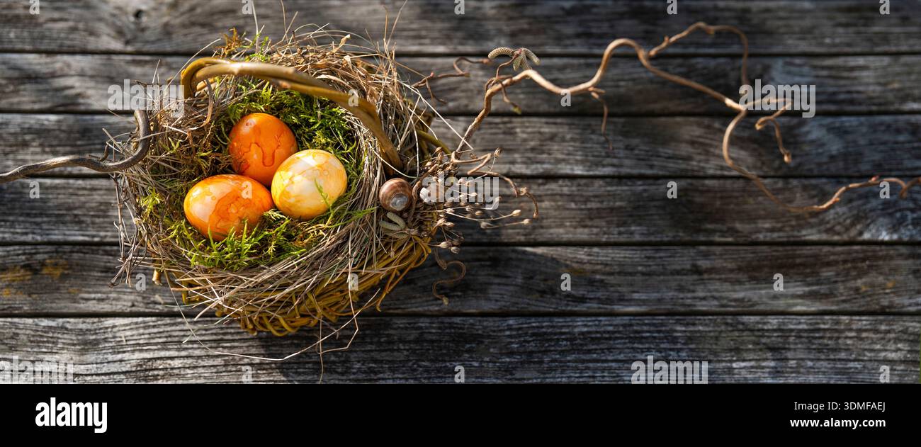 Colorful easter eggs in a natural nest . Stock Photo