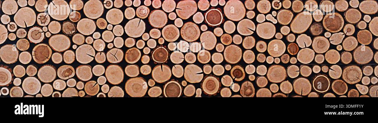 Cross sections of wood logs form a natural circle pattern for rustic ...