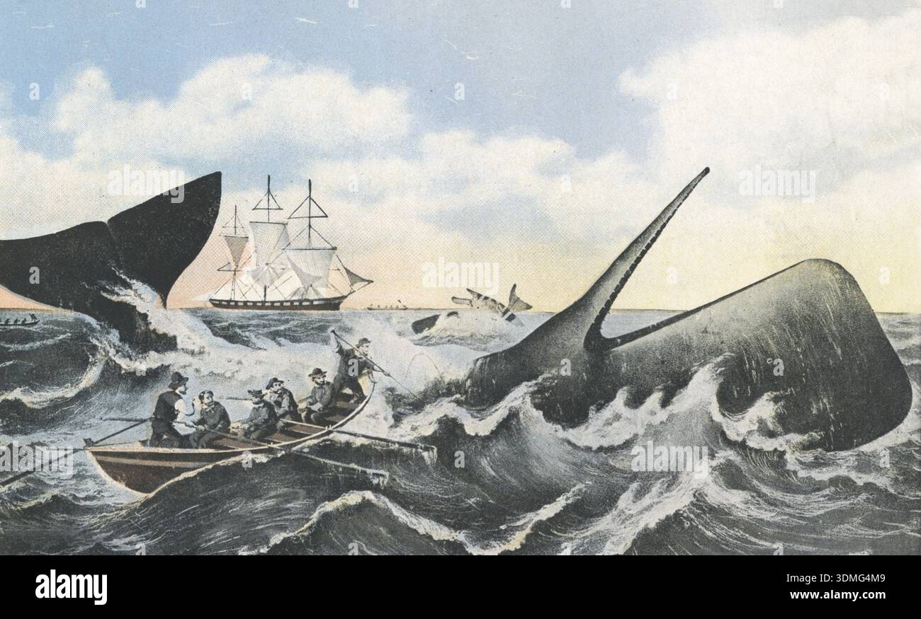 Whaling ship 19th century hi-res stock photography and images - Alamy