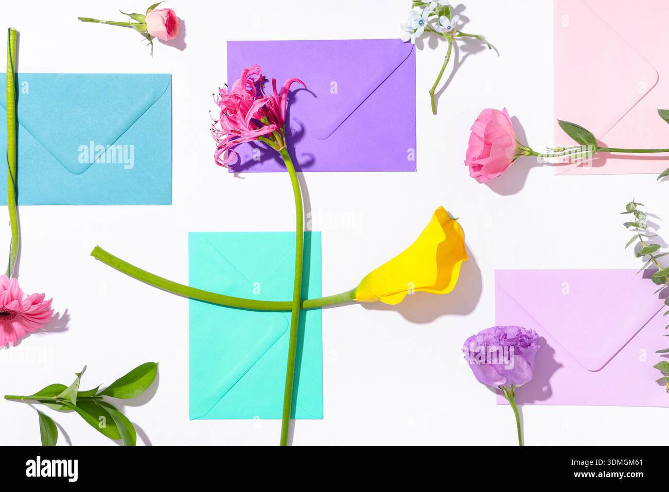 Composition with different envelopes and flowers on white background, closeup Stock Photo