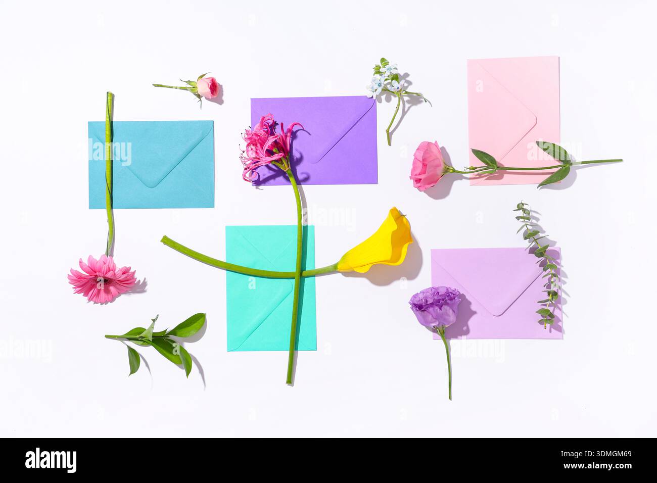 Composition with different envelopes and flowers on white background Stock Photo
