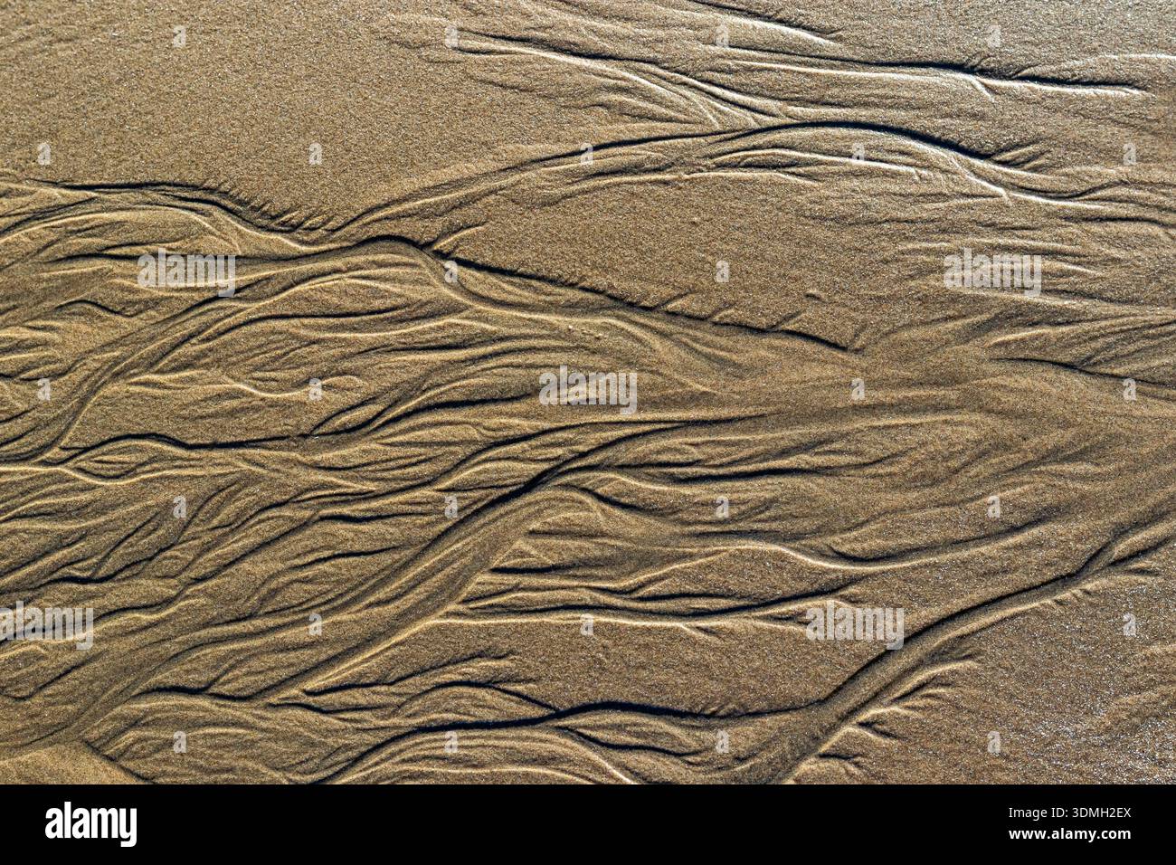 Natural patterns and textures created by water and wind on a sandy beach Stock Photo