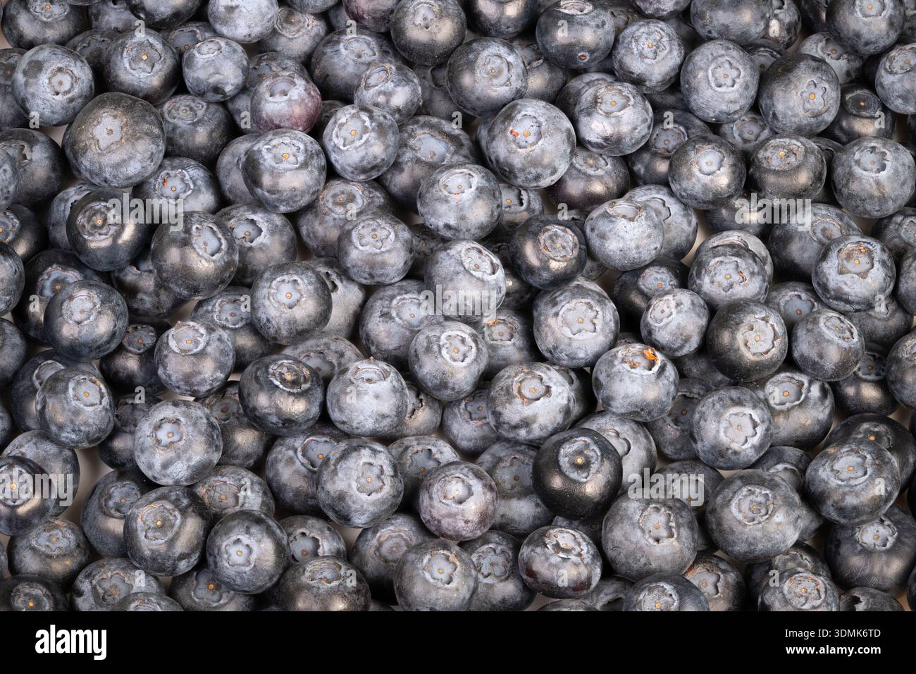 Close up blueberry texture creating seamless pattern, dense arrangement of round fruits forms abstract bluegray mosaic with subtle shadows, even light Stock Photo