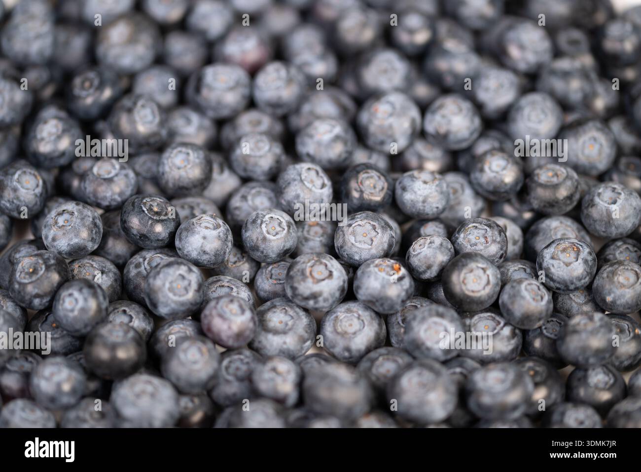 tight pattern blueberries on white surface, uniform round shapes ...