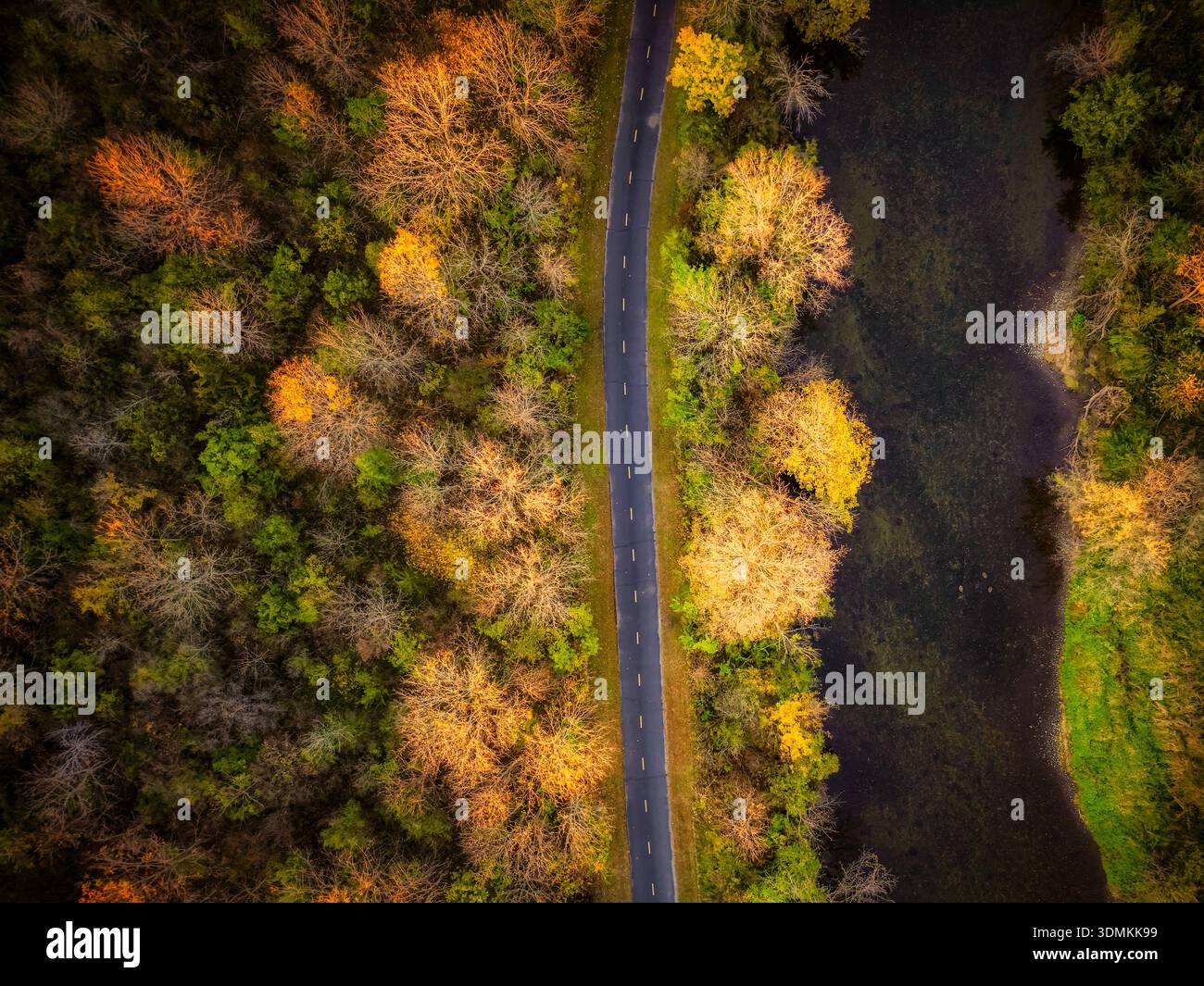 Aerial view of a winding road beside a river surrounded by autumn trees ...