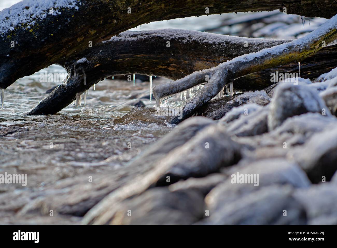 Icicles under a log in the Baltic sea. sunny afternoon on the beach Stock Photo