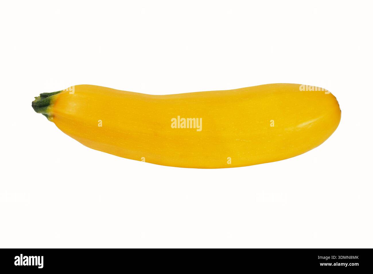 Fresh yellow zucchini on white background Stock Photo