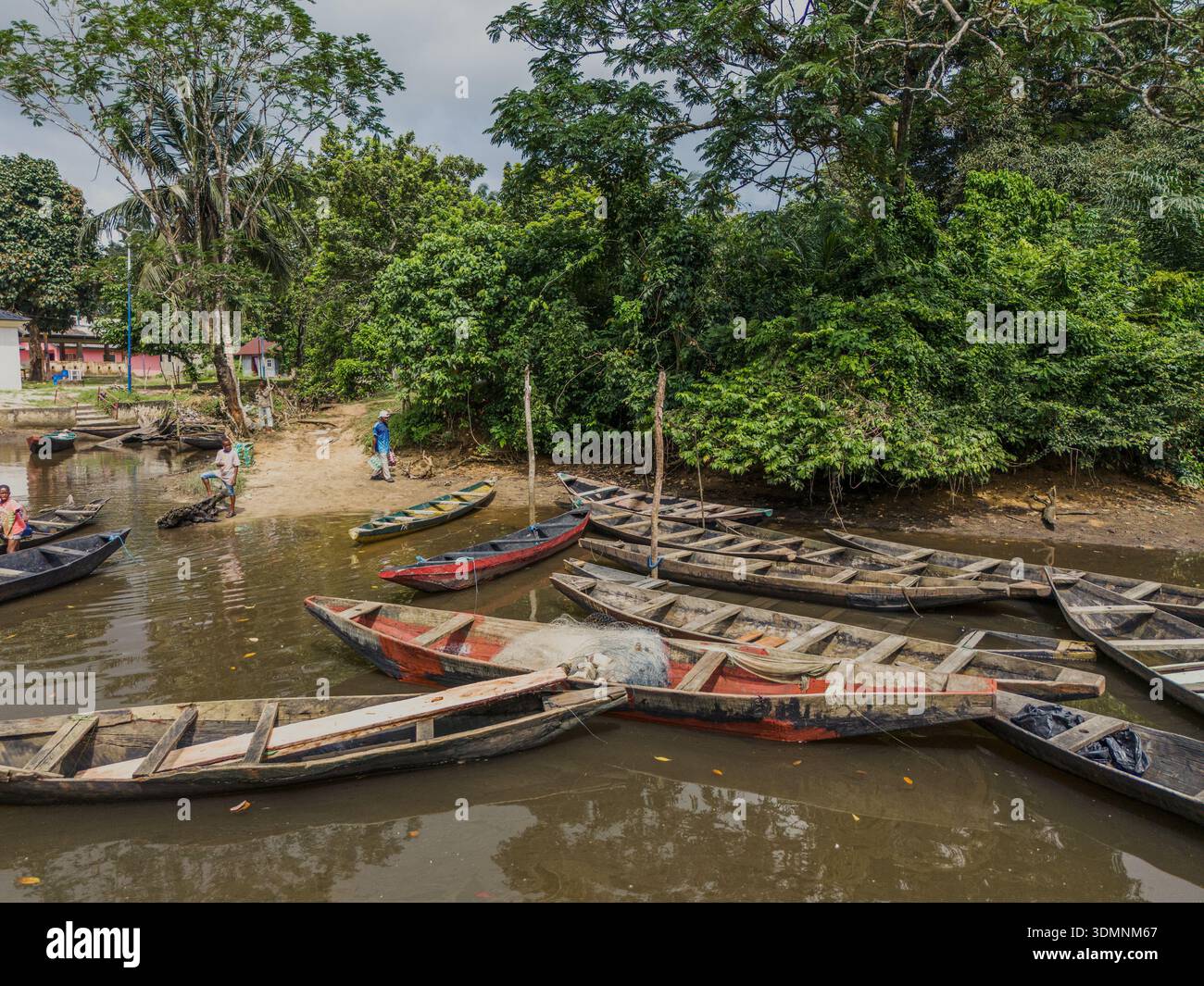 Aerial view of boats resting on the muddy riverbanks amidst lush ...