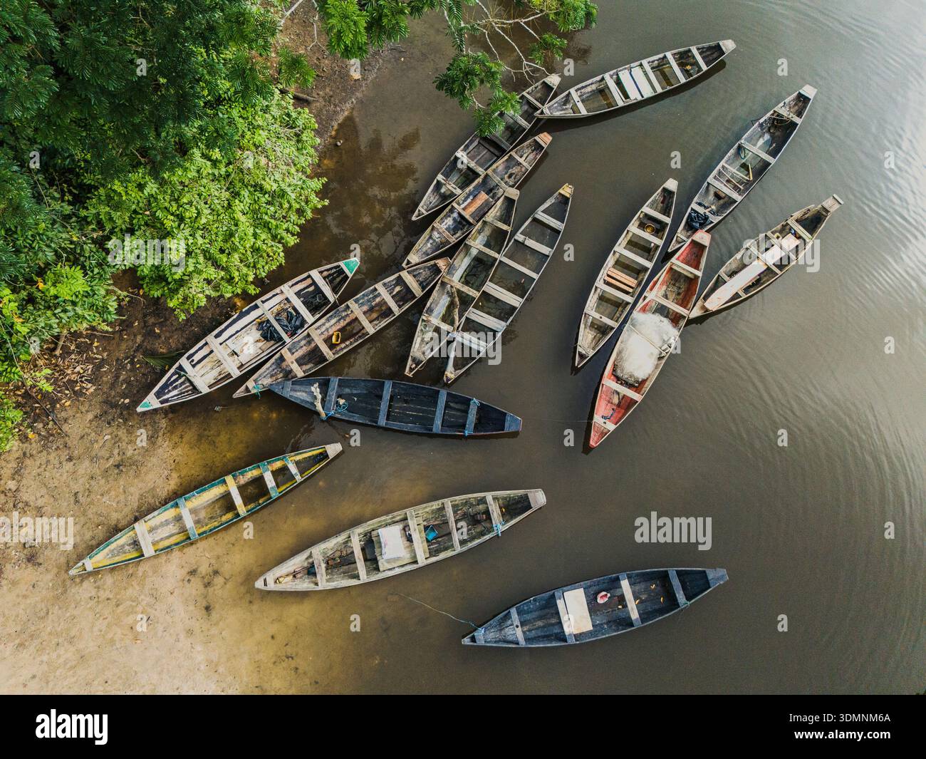 Aerial view of canoes resting at the muddy river bank under the bright ...