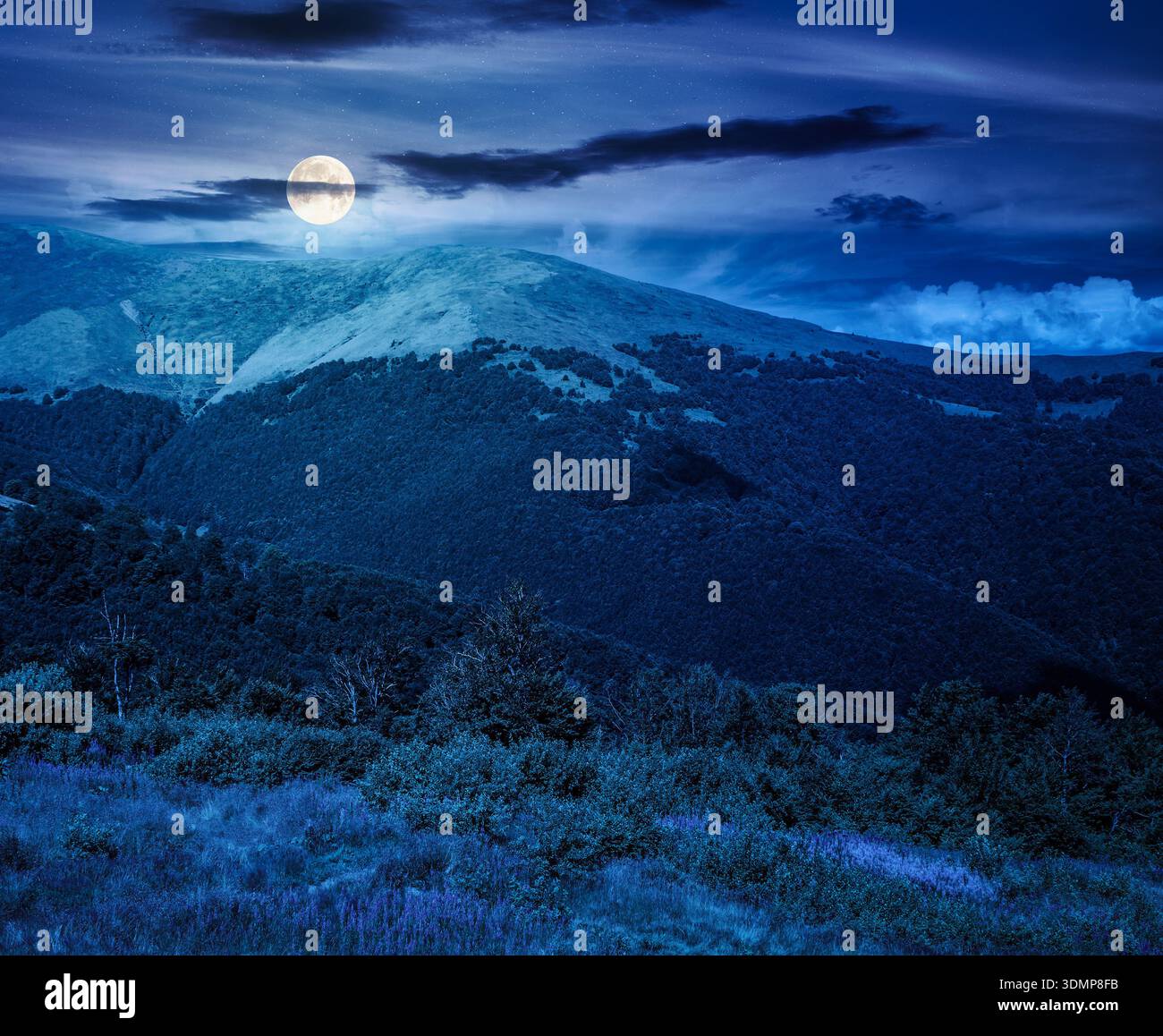 beautiful mountain landscape in summer at night. scenic view of green grassy hills with alpine forest in full moon light. picturesque scene for outdoo Stock Photo