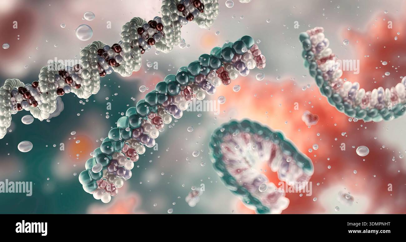 Illustration of messenger ribonucleic acid (mRNA) molecules. These are ...
