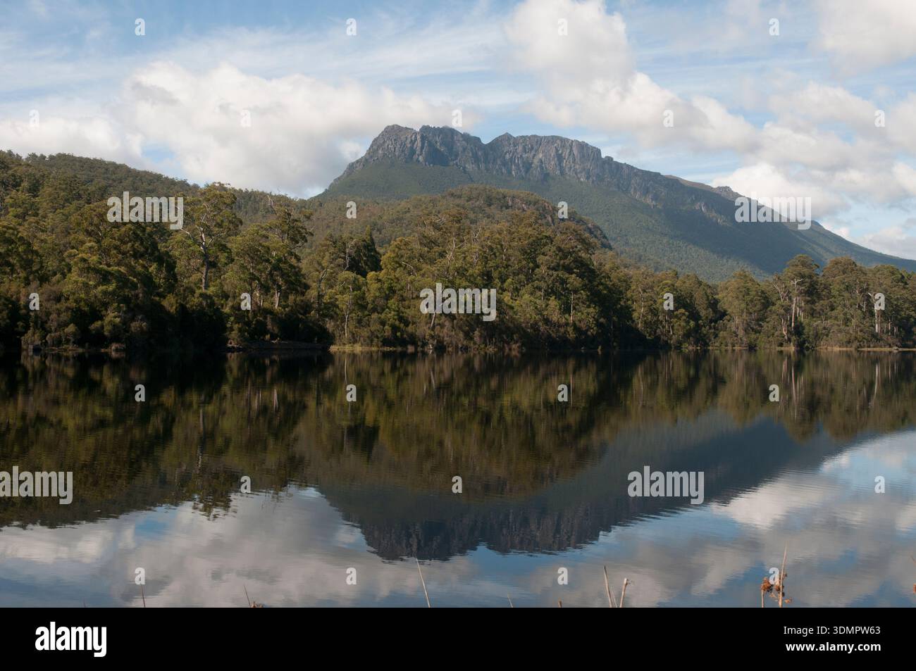 Mt Murchison near Rosebery on Tasmania's West Coast Stock Photo