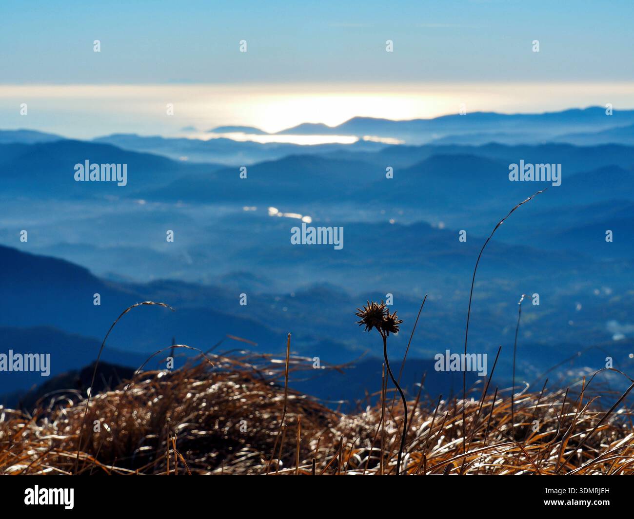 Natural Ridges View Point A breathtaking panoramic view from the high ridges of the Northern ...