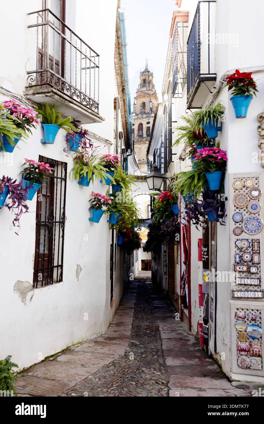 Calleja de las Flores, an alley known for white walls and colorful flower pots, in Cordoba, Spain. The cathedral tower is in the distance. Stock Photo