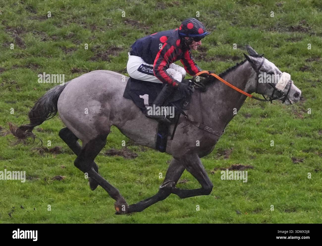 A Likeable Rogue ridden by Brian Hughes on their way to winning the ...