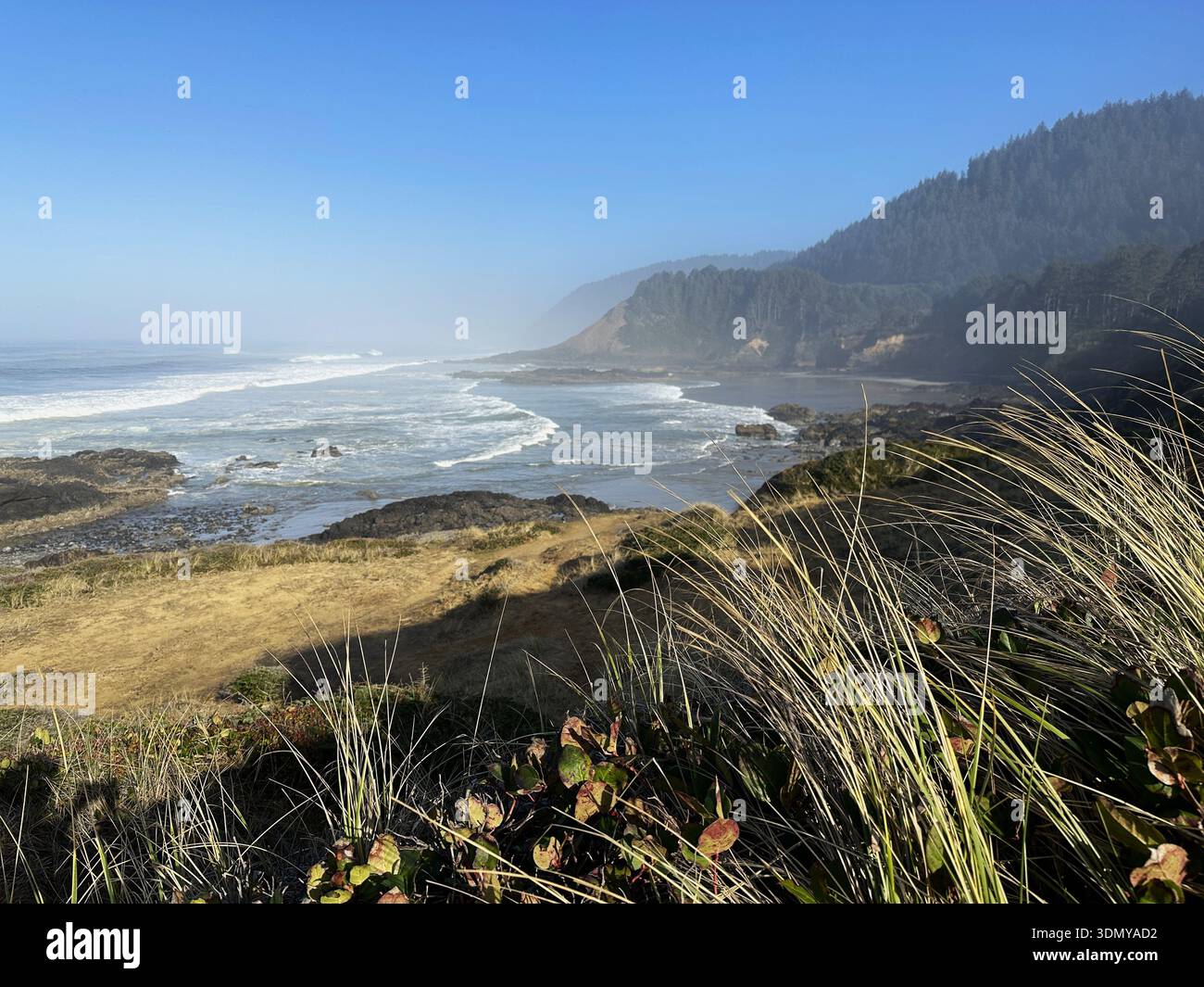 View from Strawberry Hill Wayside on the Oregon coast. - Smartphone Captured Stock Image